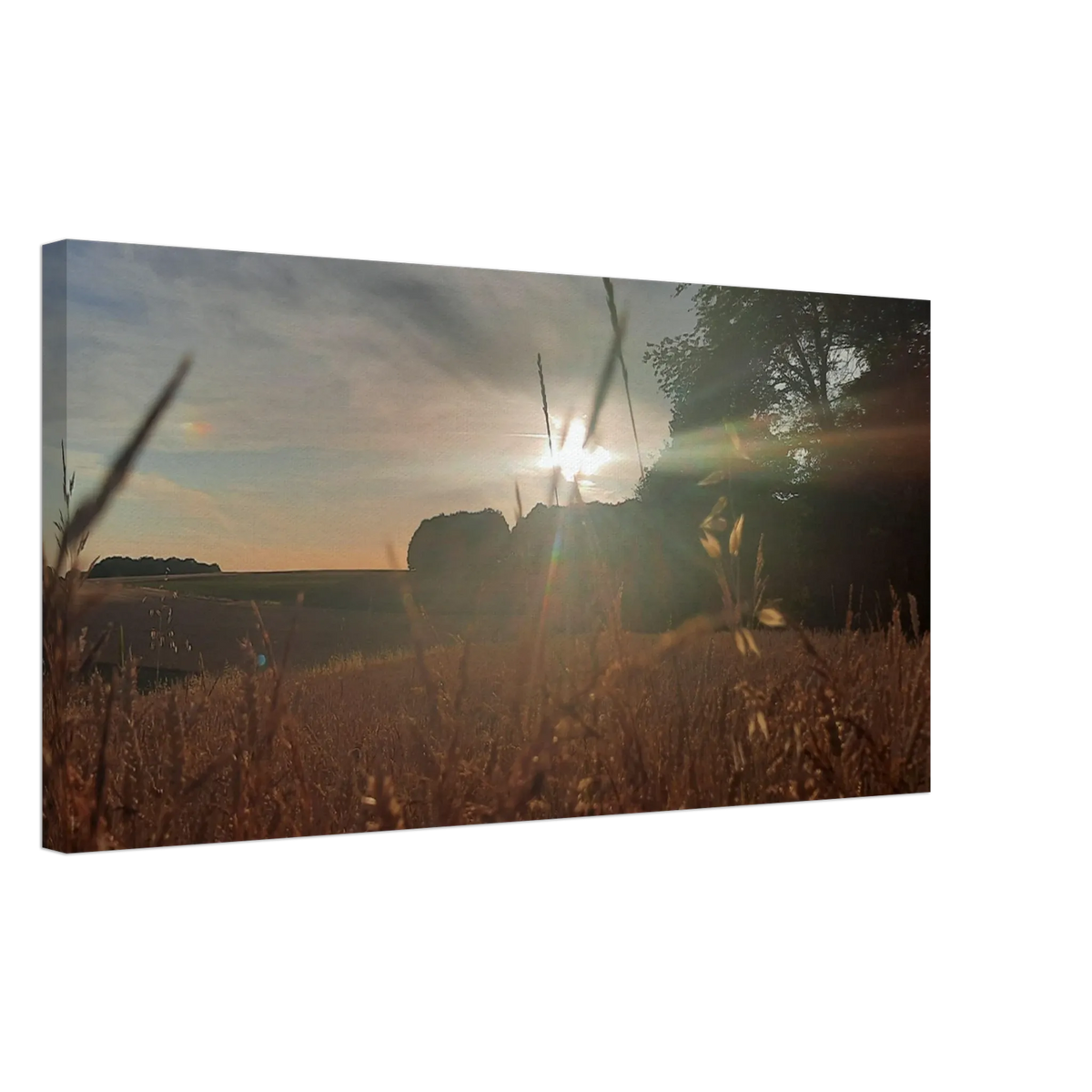 Dekoration mit Charakter. Westerwald Landschaftsbild Leinwand - Kunstdruck Die andere Perspektive: zeitlos und harmonisch. Schlicht, elegant und wirkungsvoll.