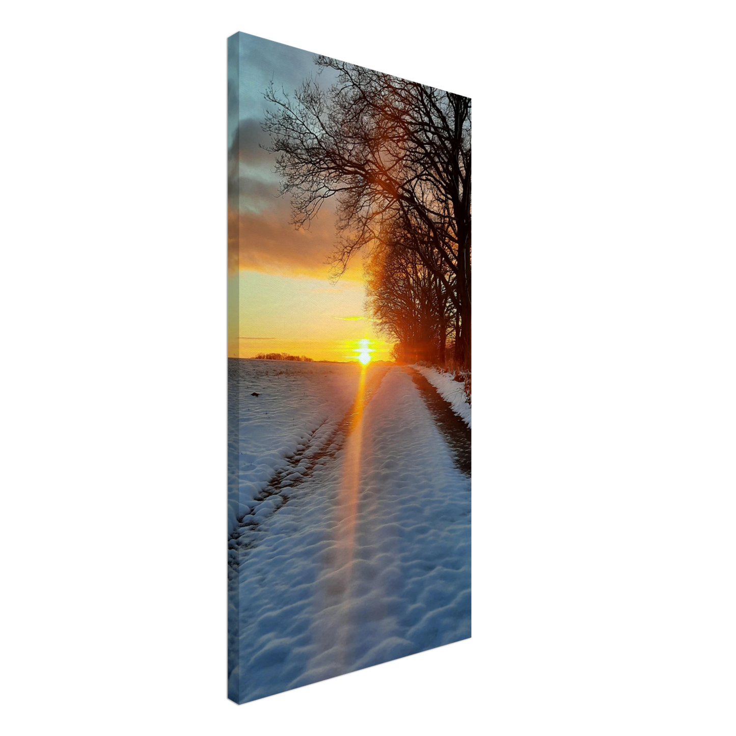 26f87e98-c5d6-43c8-9df4-2b141f541849