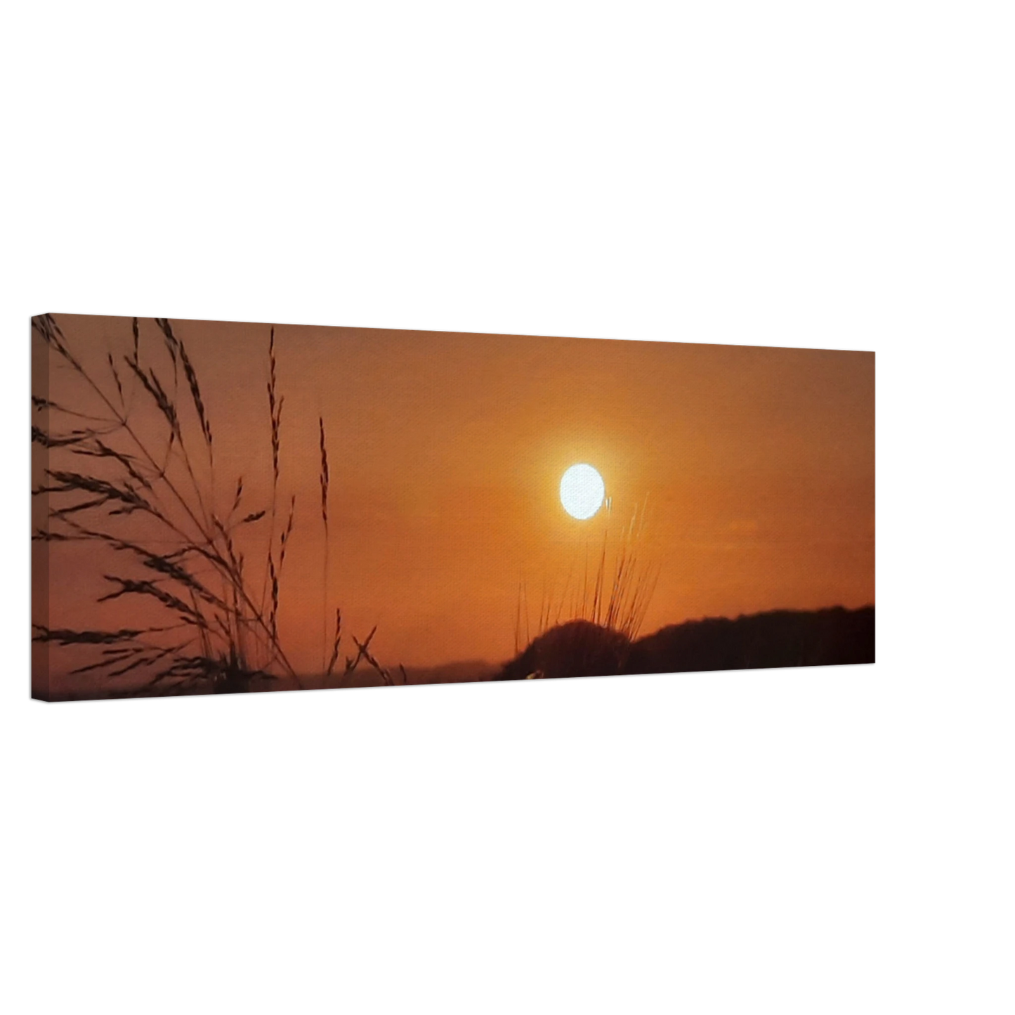 31b468af-df6d-4431-a6b7-8a569eb12713