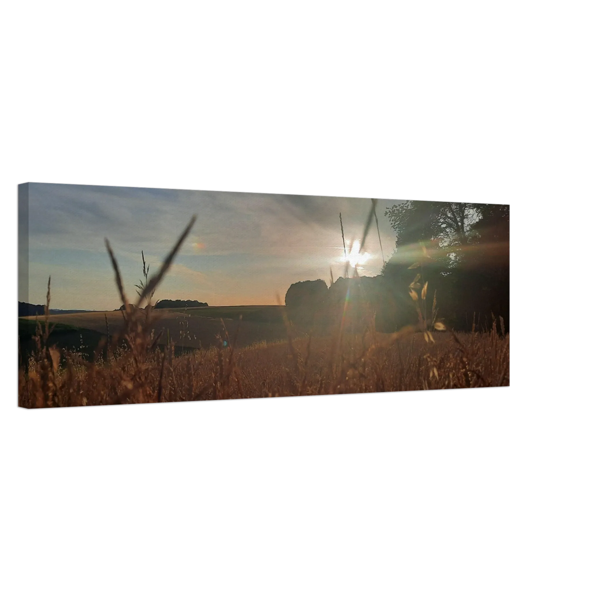 Stimmungsvolle Wandkunst für stilvolle Räume. Westerwald Landschaftsbild Leinwand - Kunstdruck Die andere Perspektive: für stilvolle Raumgestaltung. Eine besondere Bereicherung für jeden Raum.