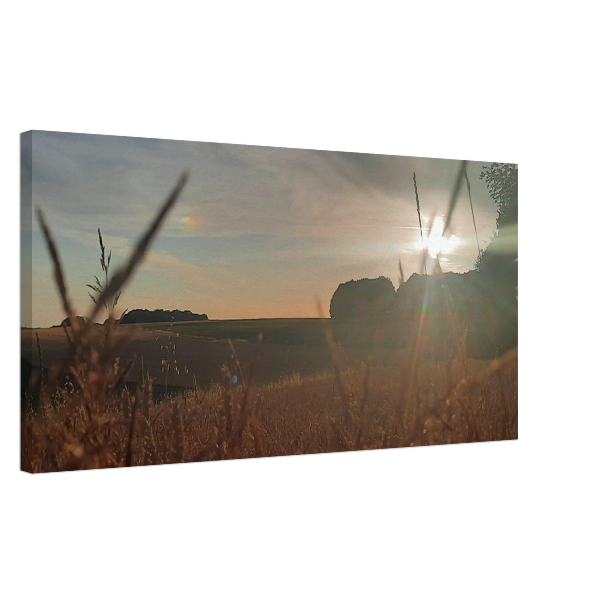 Dekoration mit Charakter. Westerwald Landschaftsbild Leinwand - Kunstdruck Die andere Perspektive: für stilvolle Raumgestaltung. Schlicht, elegant und wirkungsvoll.