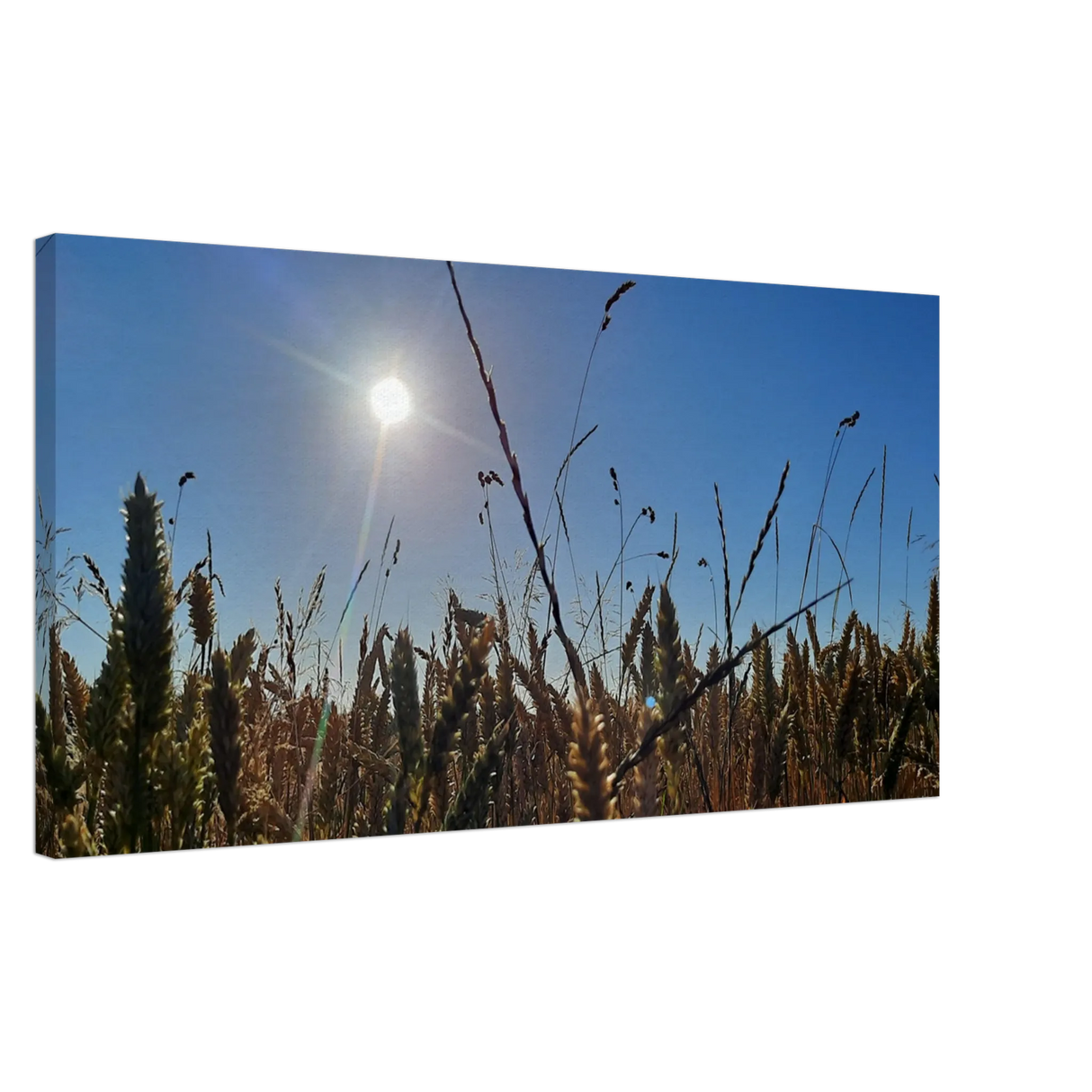 Stimmungsvolle Wandkunst für stilvolle Räume. Kunstdruck auf Leinwand - Kornfeld im Westerwald Landschaftsbild für Ihr Zuhause: zeitlos und harmonisch. Schlicht, elegant und wirkungsvoll.