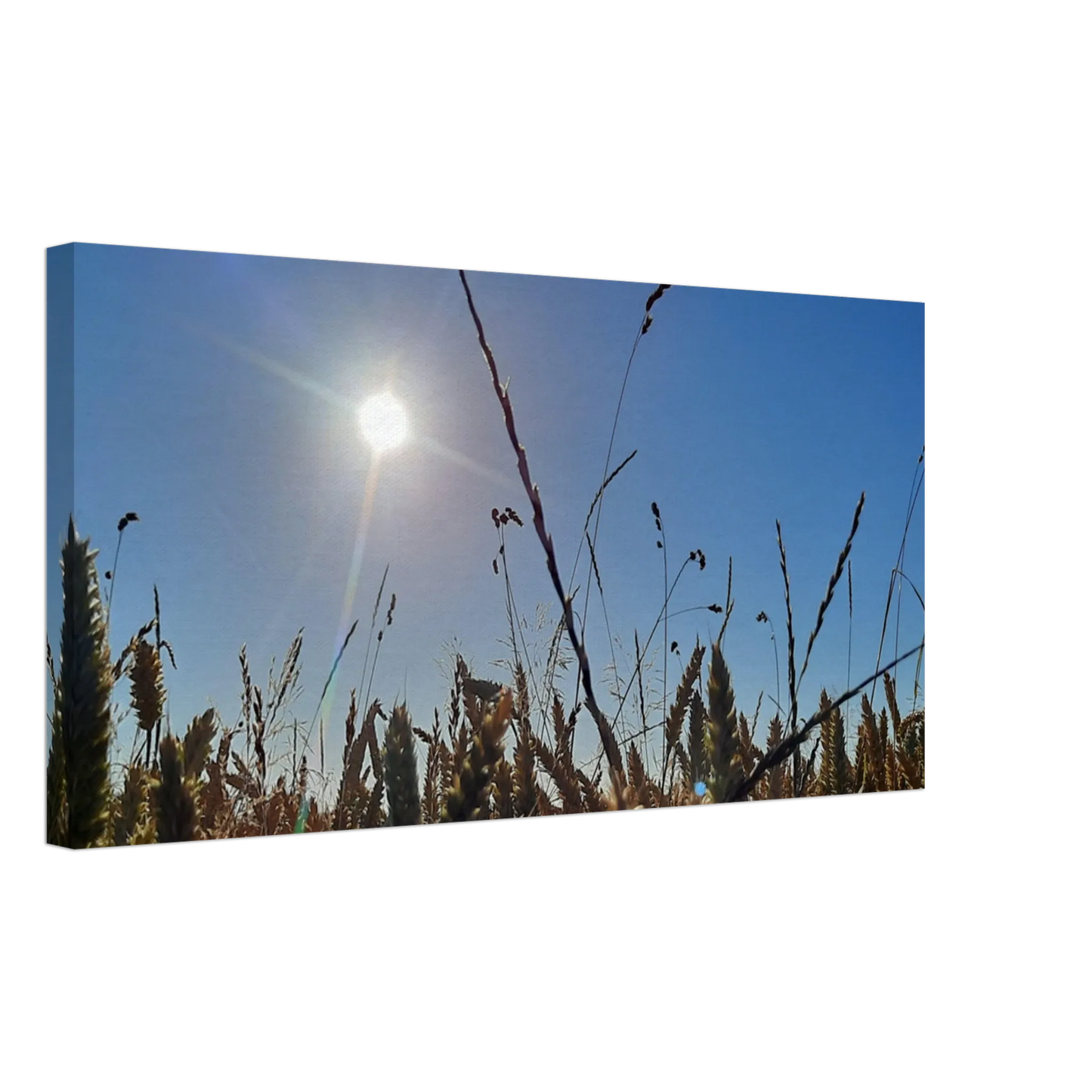 Stimmungsvolle Wandkunst für stilvolle Räume. Kunstdruck auf Leinwand - Kornfeld im Westerwald Landschaftsbild für Ihr Zuhause: zeitlos und harmonisch. Schlicht, elegant und wirkungsvoll.