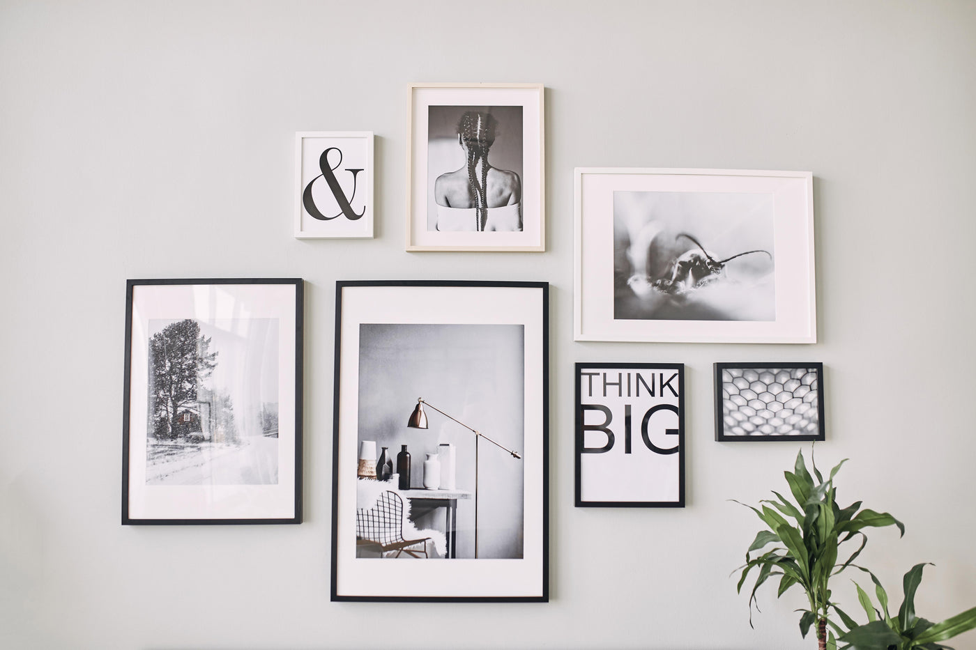 Bild zu zoey- Kunstdrucke Bilder die an einer Wand hängen und zu unseren shop gehören