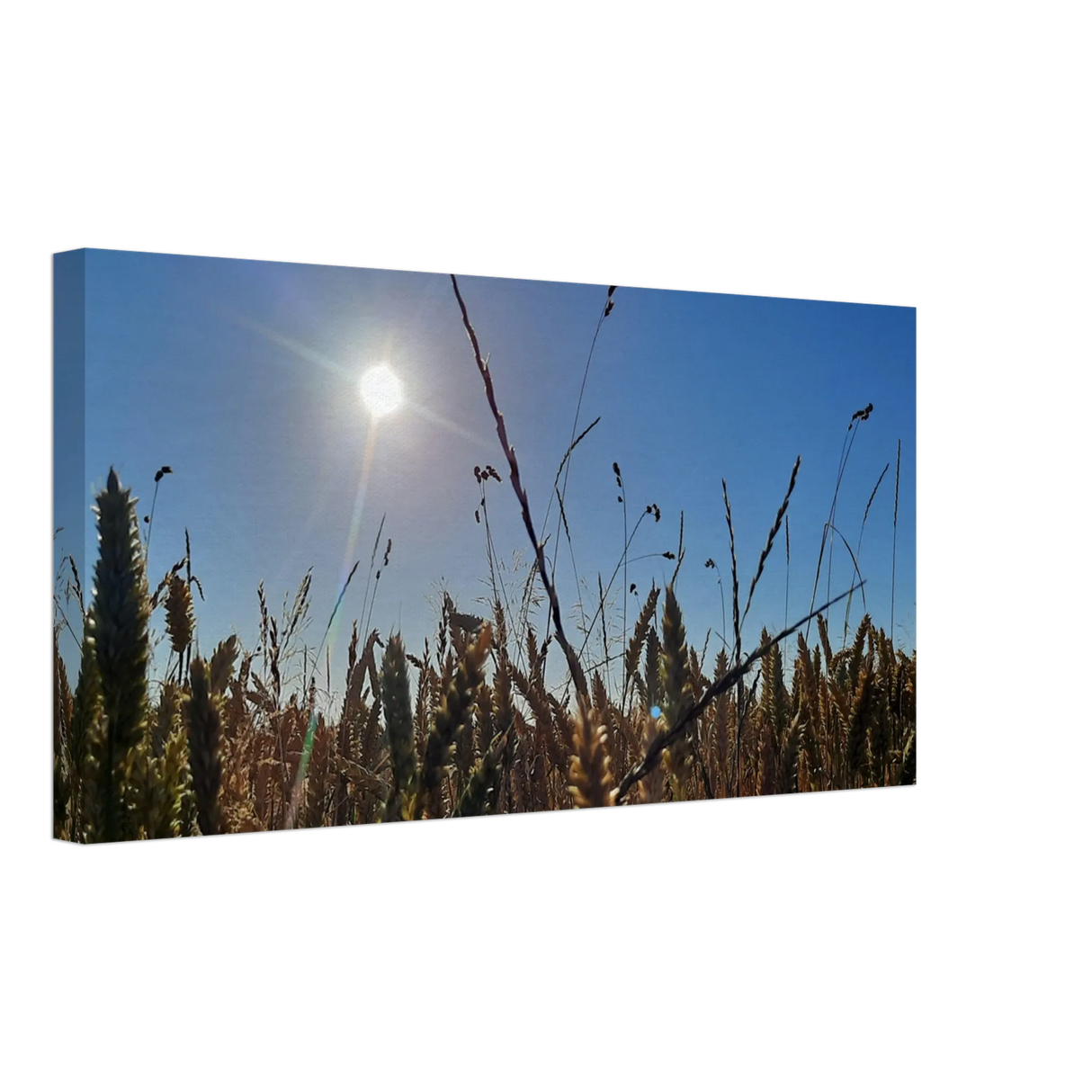 Dekoration mit Charakter. Kunstdruck auf Leinwand - Kornfeld im Westerwald Landschaftsbild für Ihr Zuhause: zeitlos und harmonisch. Schlicht, elegant und wirkungsvoll.