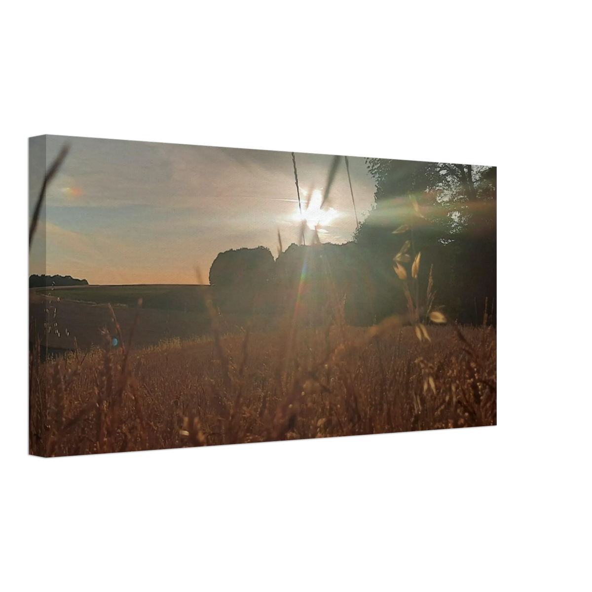 Stimmungsvolle Wandkunst für stilvolle Räume. Westerwald Landschaftsbild Leinwand - Kunstdruck Die andere Perspektive: zeitlos und harmonisch. Eine besondere Bereicherung für jeden Raum.