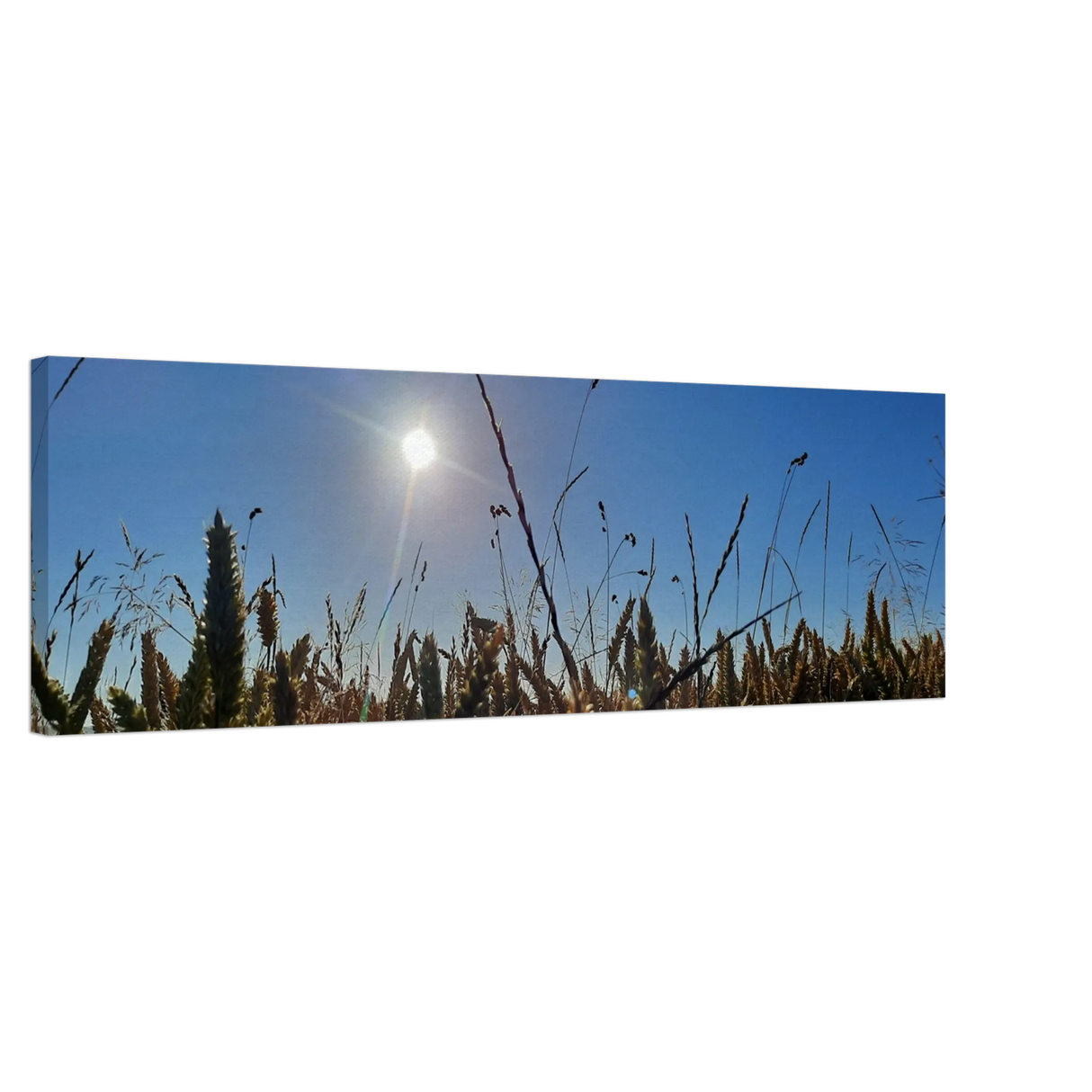 Dekoration mit Charakter. Kunstdruck auf Leinwand - Kornfeld im Westerwald Landschaftsbild für Ihr Zuhause: für stilvolle Raumgestaltung. Schlicht, elegant und wirkungsvoll.