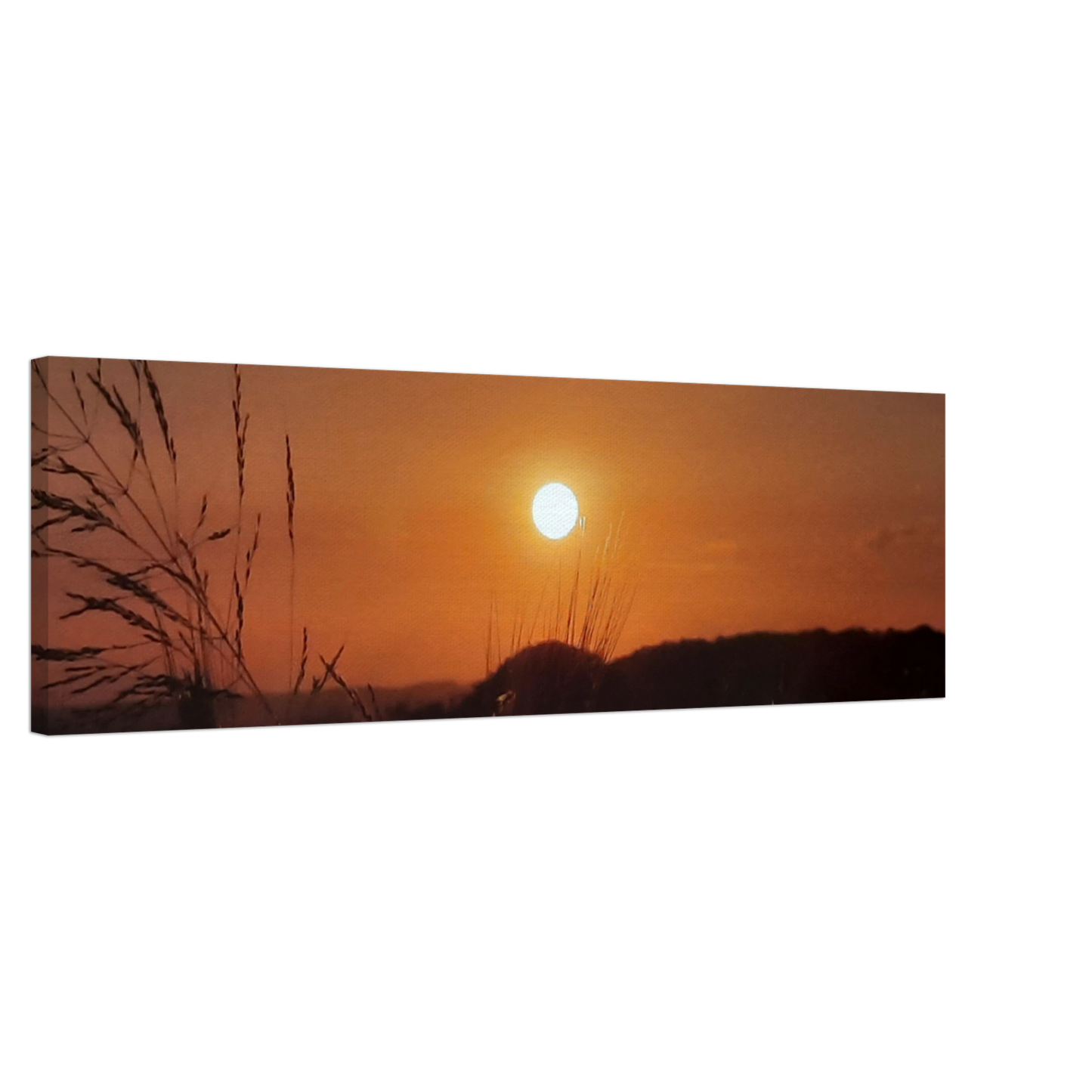 f72a3965-5973-4439-ada9-ab3e06e2b92d