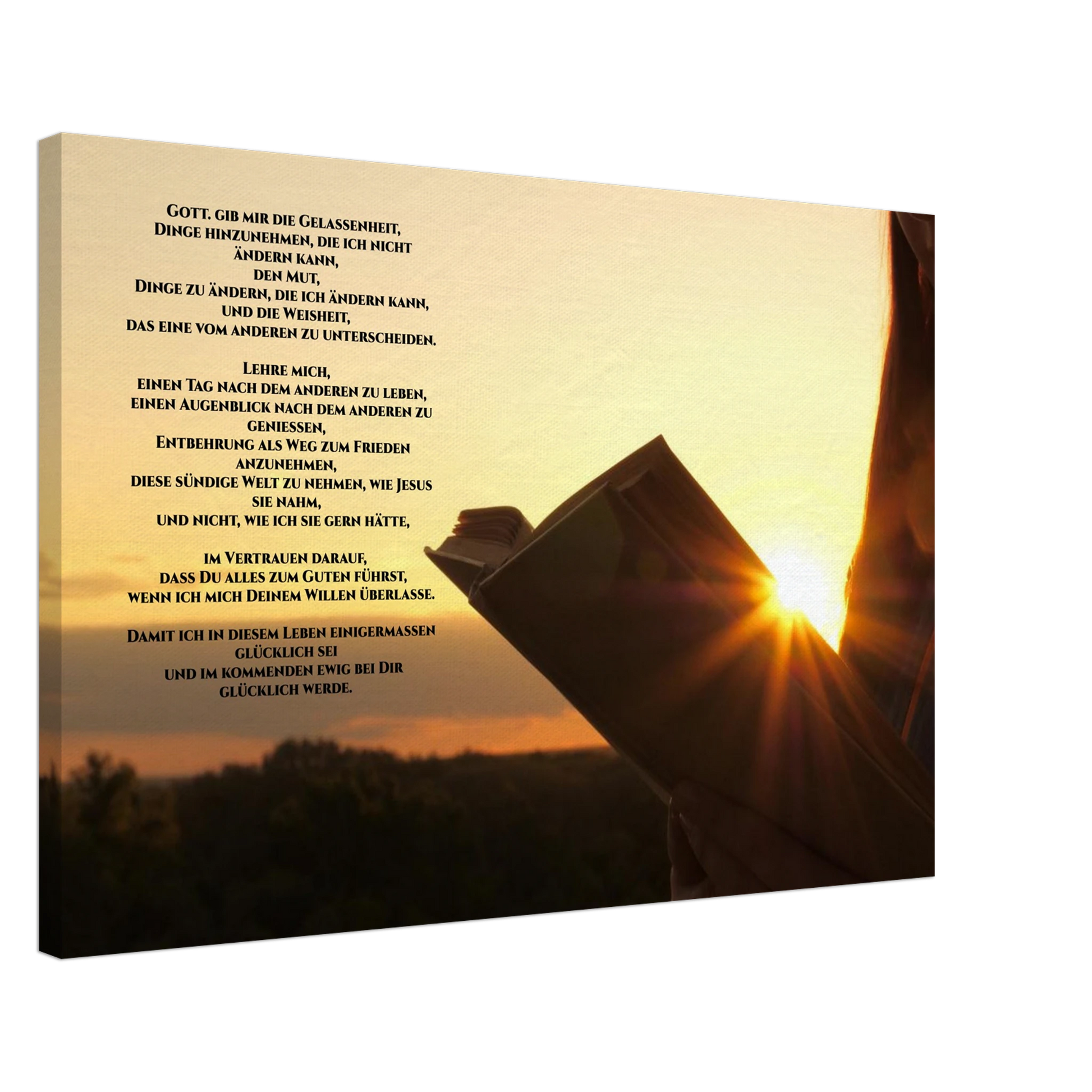 0aa1791d-900e-40fb-b4ff-71f7b4440d0b