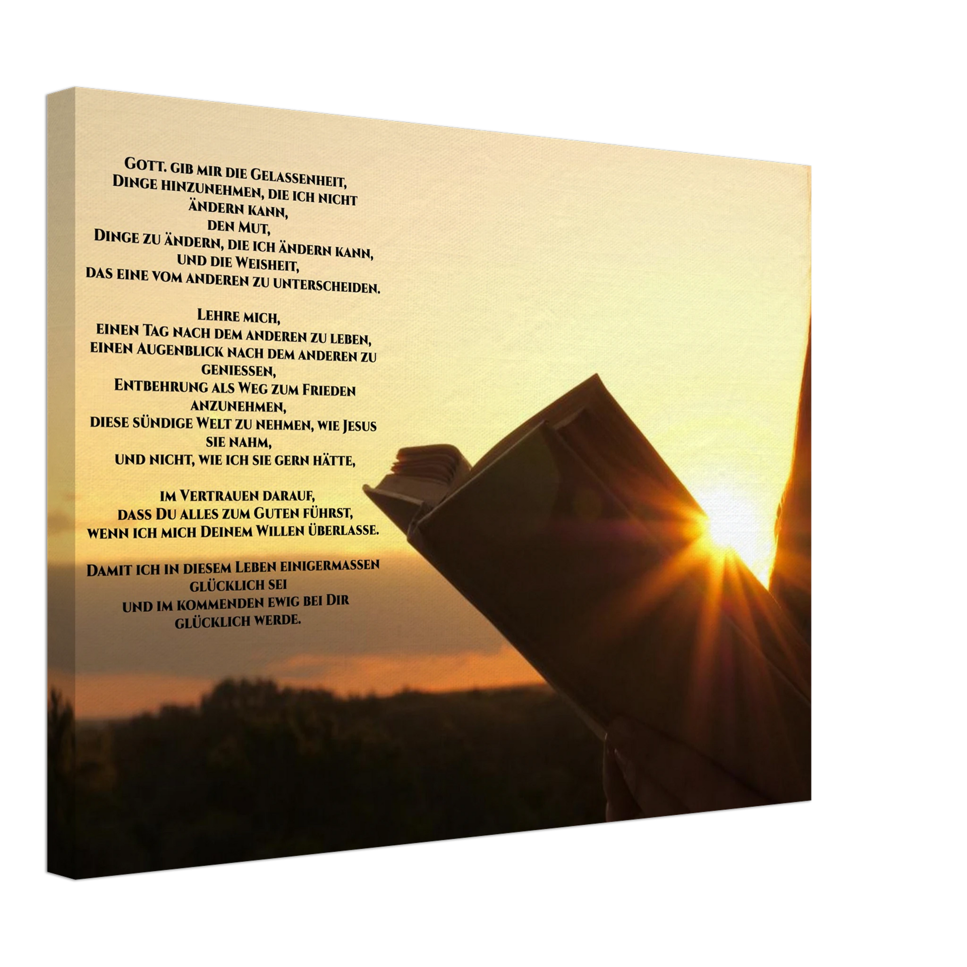 0bb84c85-f254-4342-8666-47c5cb584ab1