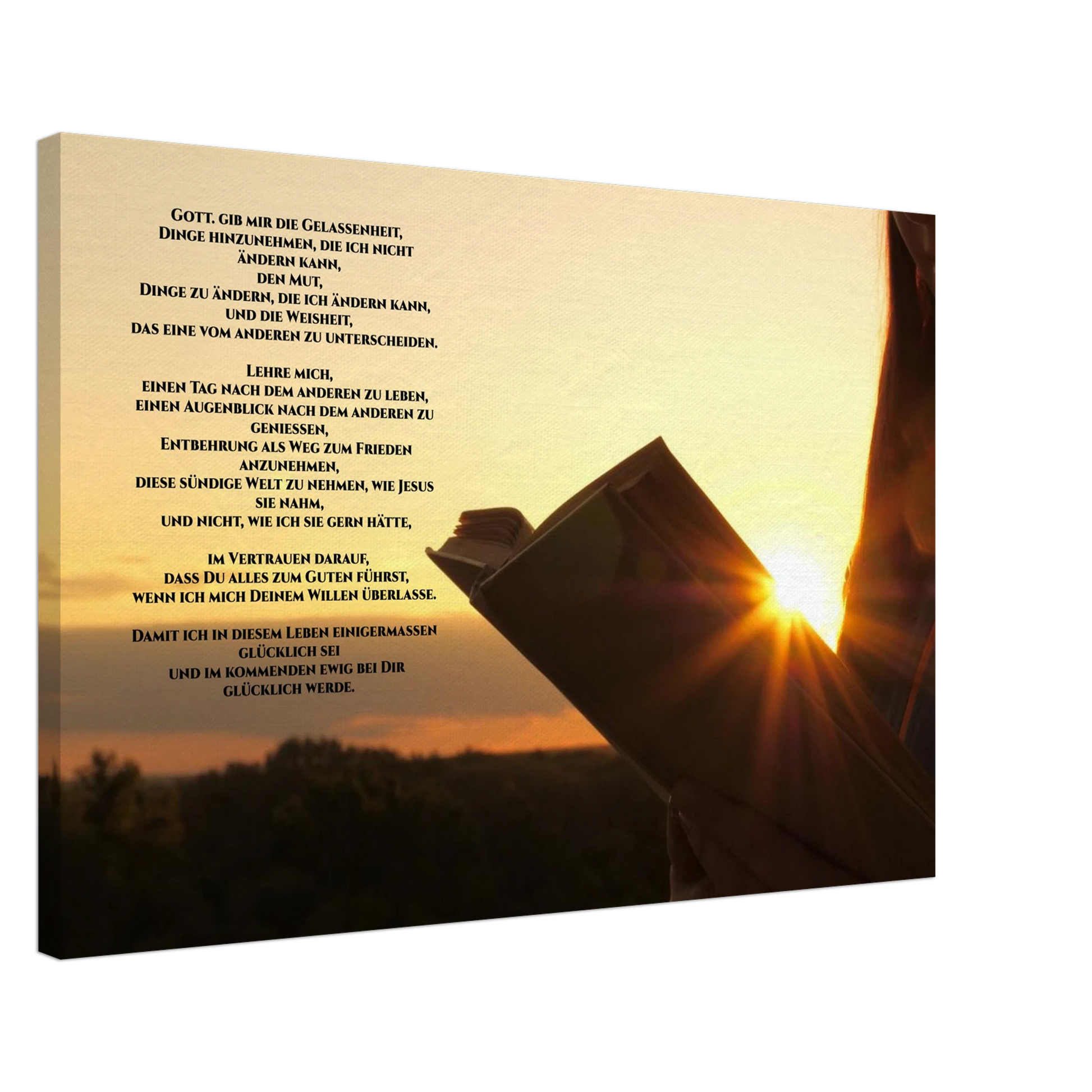 1183409b-fb3c-4b41-89c7-d92d7d717eed