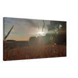 Dekoration mit Charakter. Westerwald Landschaftsbild Leinwand - Kunstdruck Die andere Perspektive: zeitlos und harmonisch. Schlicht, elegant und wirkungsvoll.
