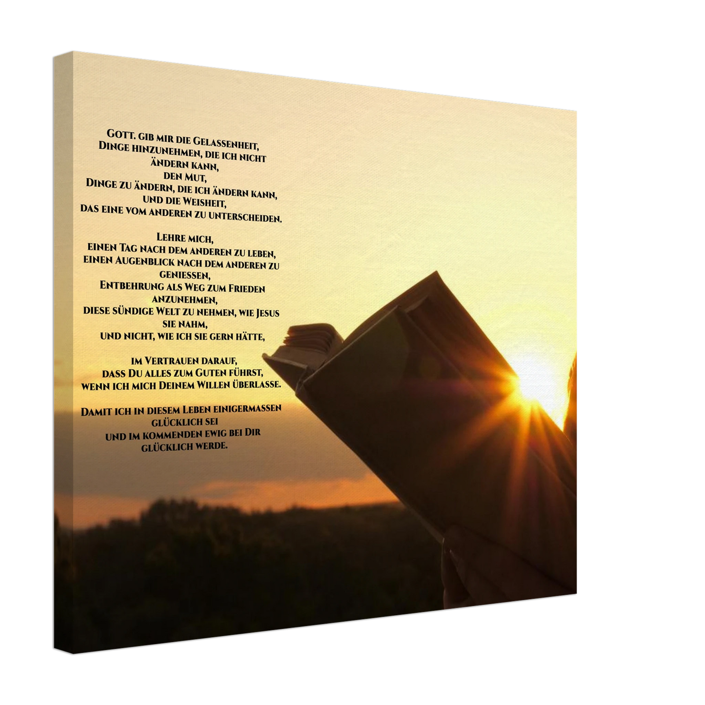 1f469028-5817-4688-9d23-37585795baa4