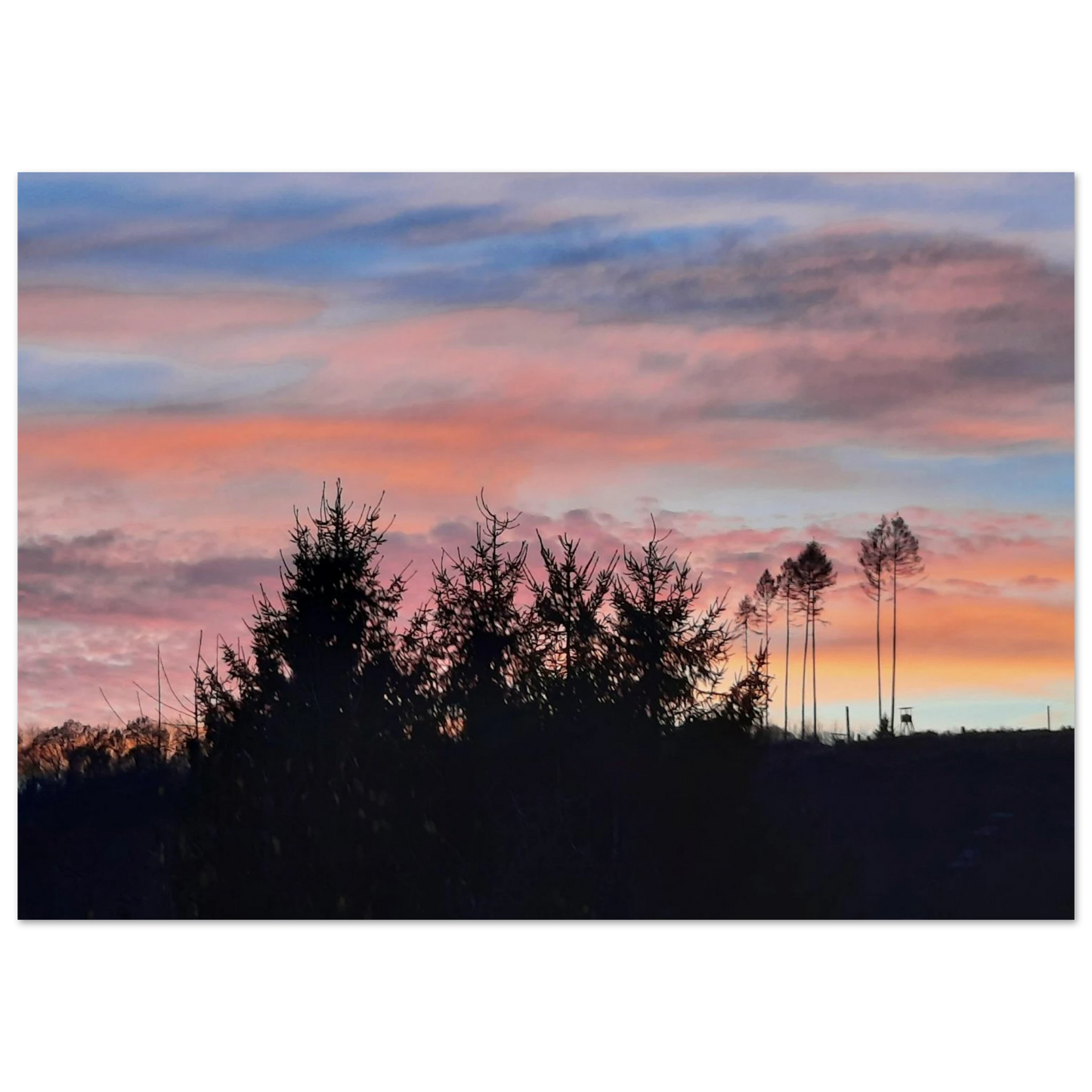 1f909776-ffa7-4d0a-8a8c-514f2392e10a