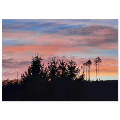 1f909776-ffa7-4d0a-8a8c-514f2392e10a