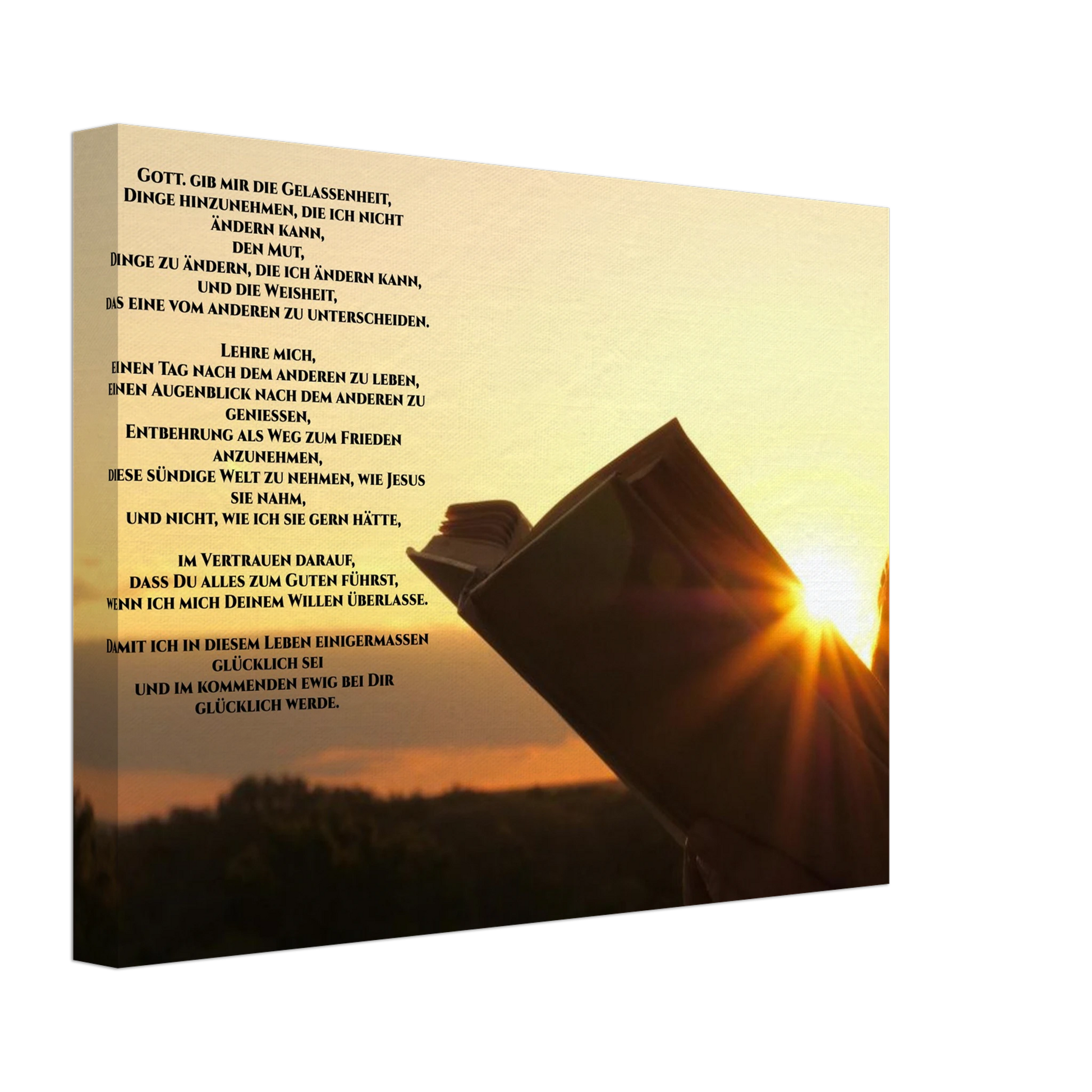 205e6a75-8c4c-4523-9b41-aa6dff6711a5