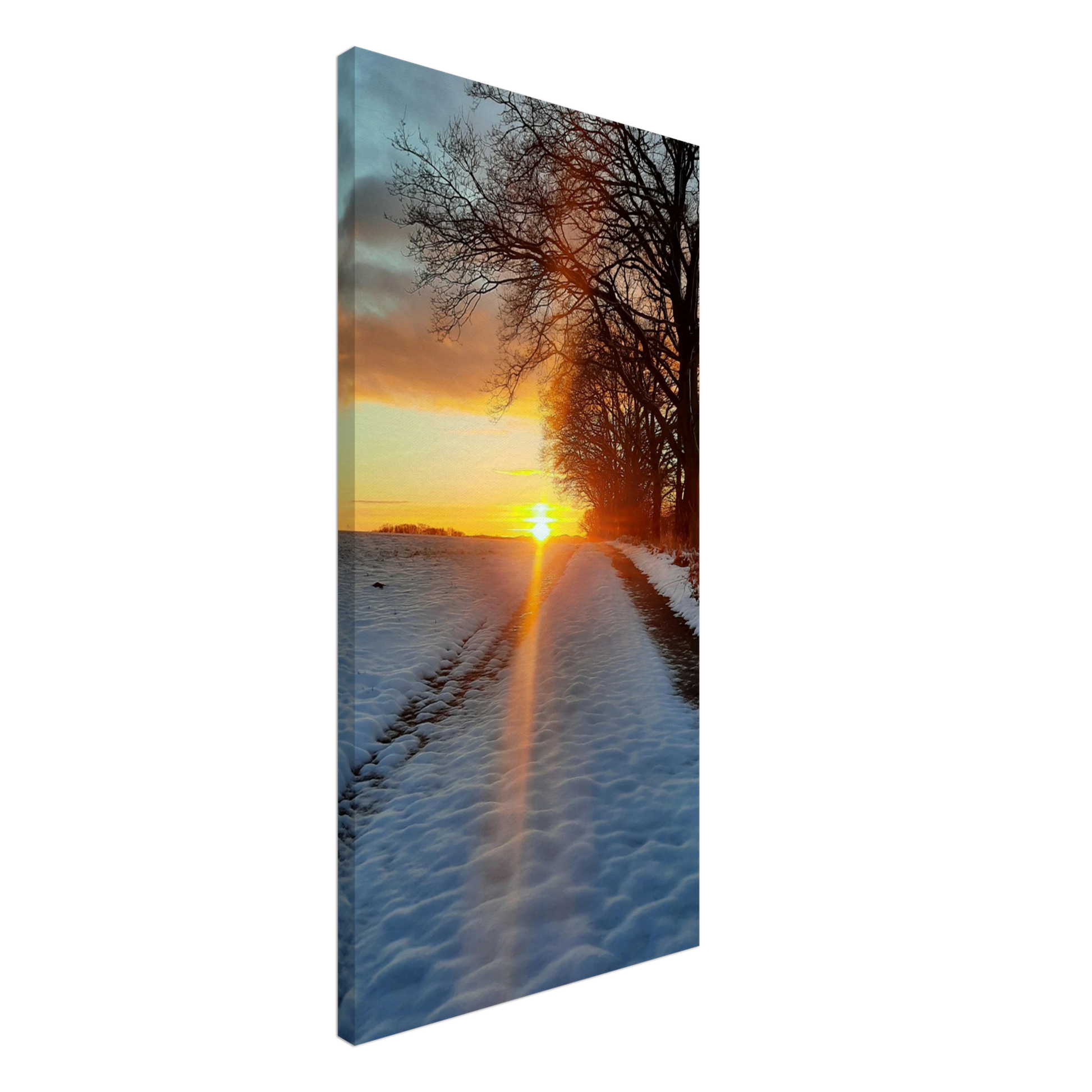 26f87e98-c5d6-43c8-9df4-2b141f541849