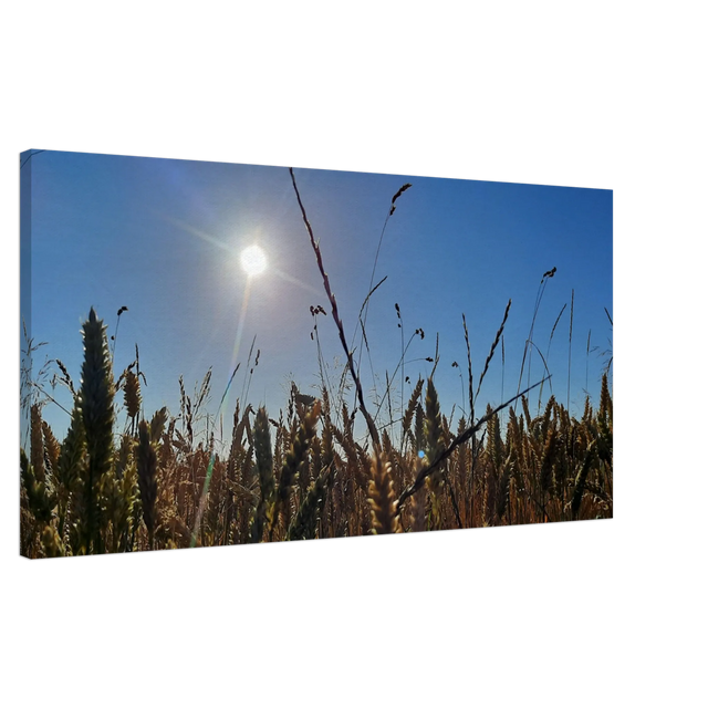 Dekoration mit Charakter. Kunstdruck auf Leinwand - Kornfeld im Westerwald Landschaftsbild für Ihr Zuhause: für stilvolle Raumgestaltung. Eine besondere Bereicherung für jeden Raum.