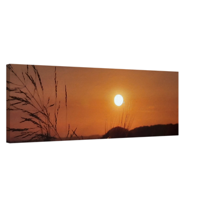 31b468af-df6d-4431-a6b7-8a569eb12713