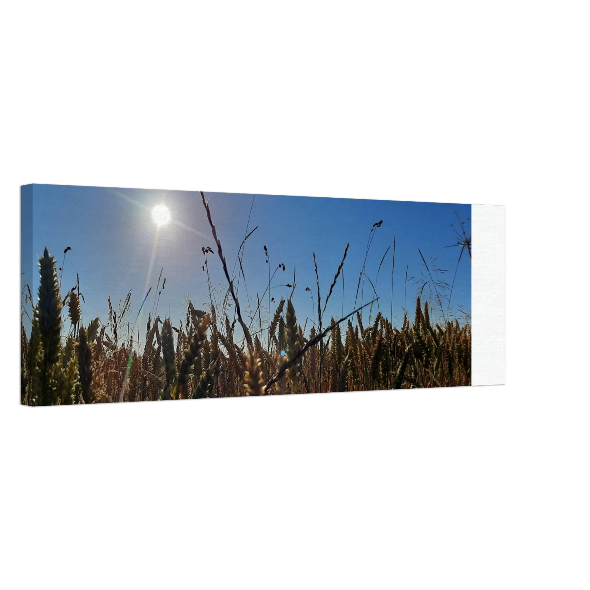 Ein Ausdruck moderner Ästhetik. Kunstdruck auf Leinwand - Kornfeld im Westerwald Landschaftsbild für Ihr Zuhause: für stilvolle Raumgestaltung. Schlicht, elegant und wirkungsvoll.