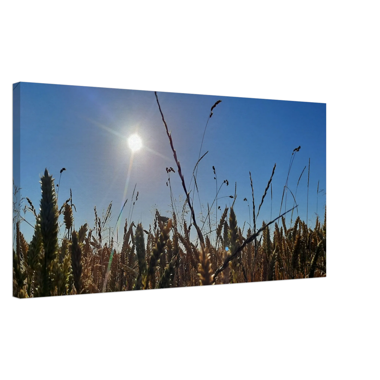 Stimmungsvolle Wandkunst für stilvolle Räume. Kunstdruck auf Leinwand - Kornfeld im Westerwald Landschaftsbild für Ihr Zuhause: zeitlos und harmonisch. Schlicht, elegant und wirkungsvoll.