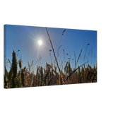 Stimmungsvolle Wandkunst für stilvolle Räume. Kunstdruck auf Leinwand - Kornfeld im Westerwald Landschaftsbild für Ihr Zuhause: zeitlos und harmonisch. Schlicht, elegant und wirkungsvoll.