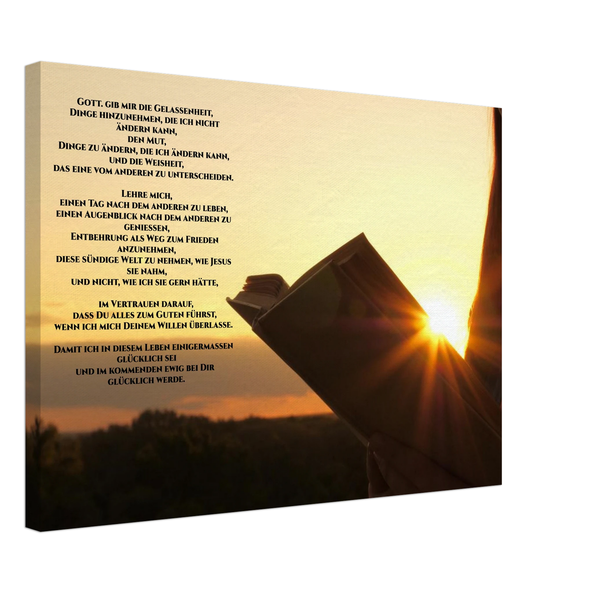 3d285886-6d6a-4539-a691-12d1e9f40d0a