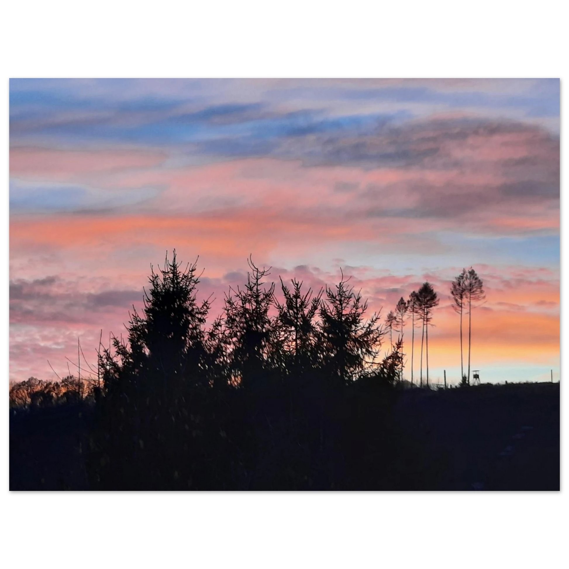 4340b19d-d3e6-4cad-be1e-4240e36c5294