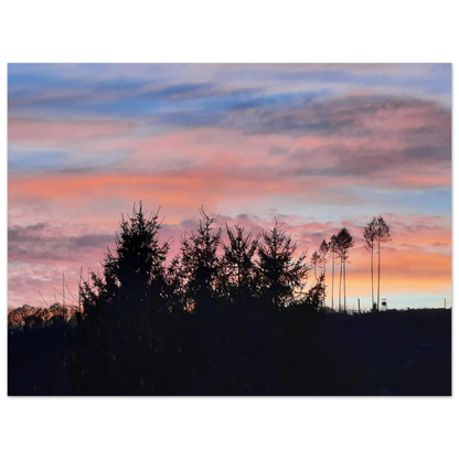4340b19d-d3e6-4cad-be1e-4240e36c5294