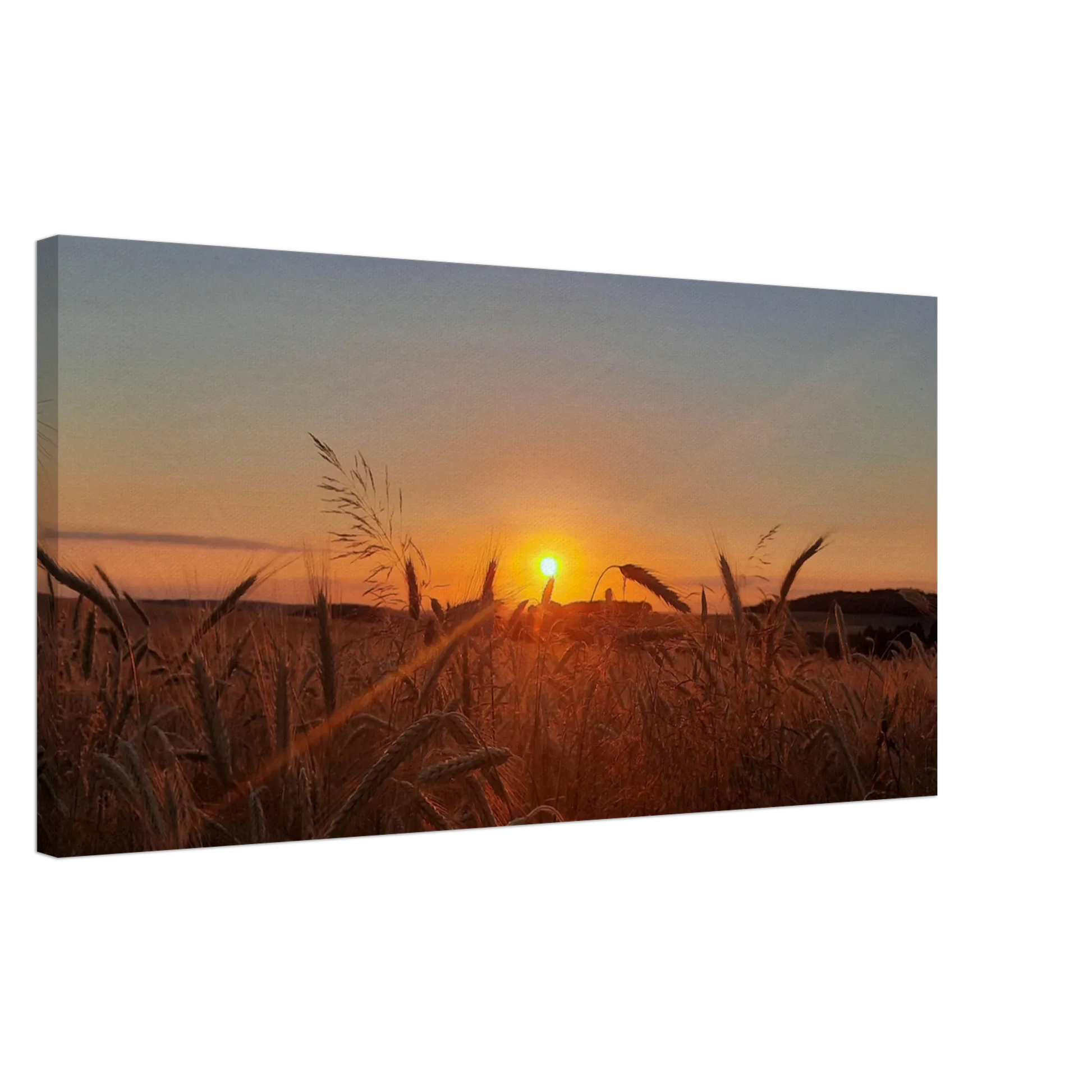 Stimmungsvolle Wandkunst für stilvolle Räume. Landschaftsbild Kunstdruck auf Leinwand – Abendsonne Westerwald: zeitlos und harmonisch. Schlicht, elegant und wirkungsvoll.