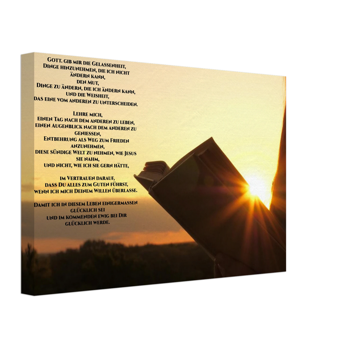 5173ce8a-5e1b-41fb-bc5d-998e487f0a92