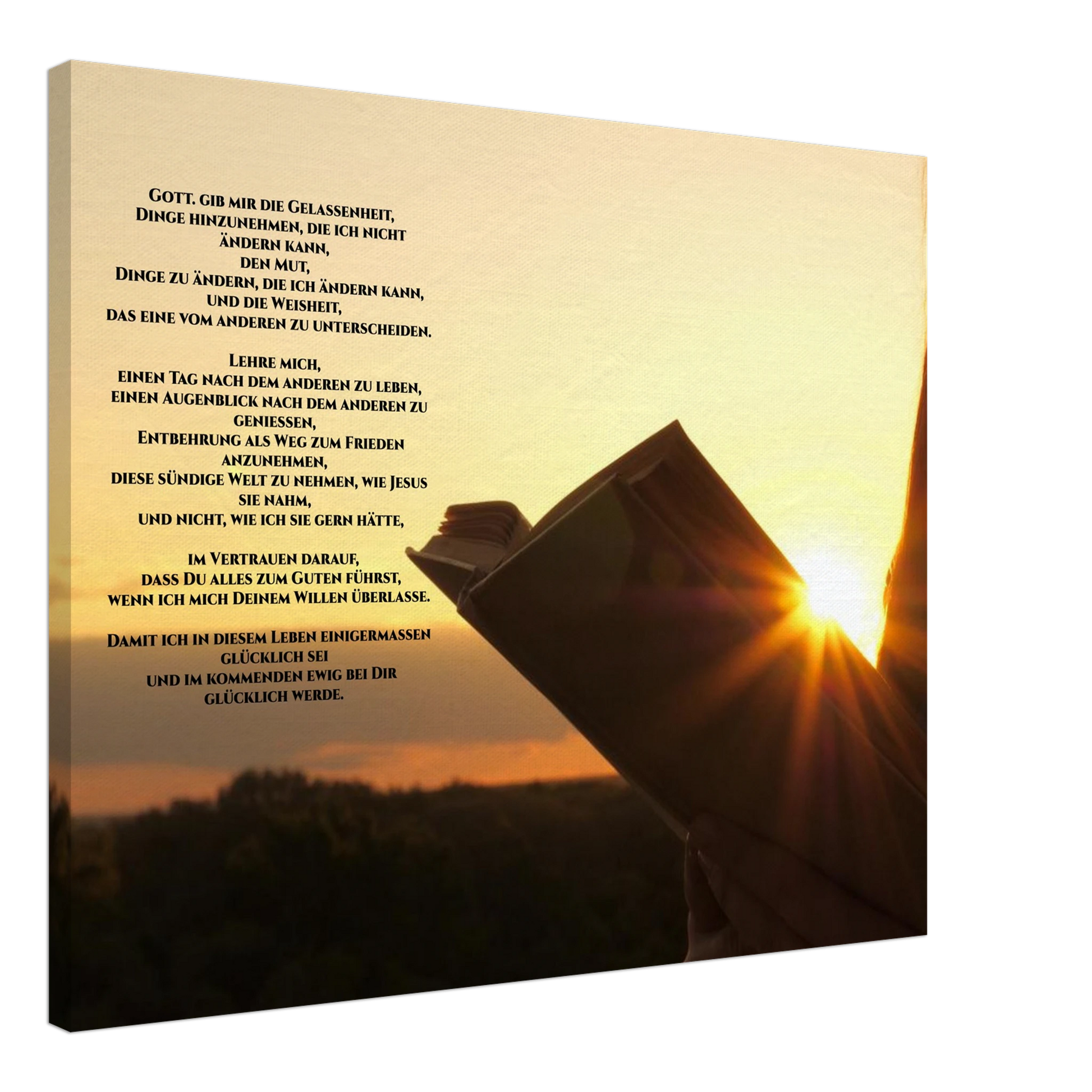 5b67d98f-ec65-4e85-923e-c967f5dc54d8