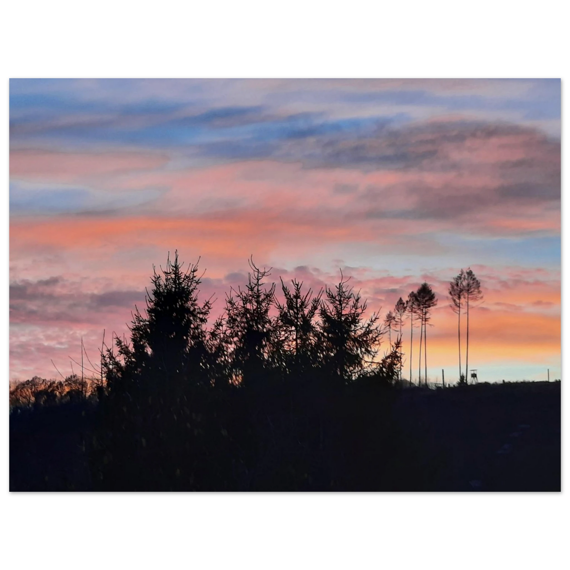6881dbcc-db20-410f-ad50-8b56e808180f