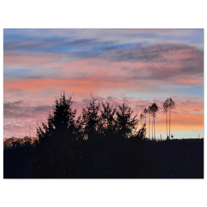 6881dbcc-db20-410f-ad50-8b56e808180f