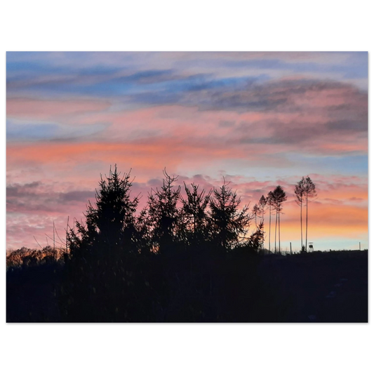 6881dbcc-db20-410f-ad50-8b56e808180f