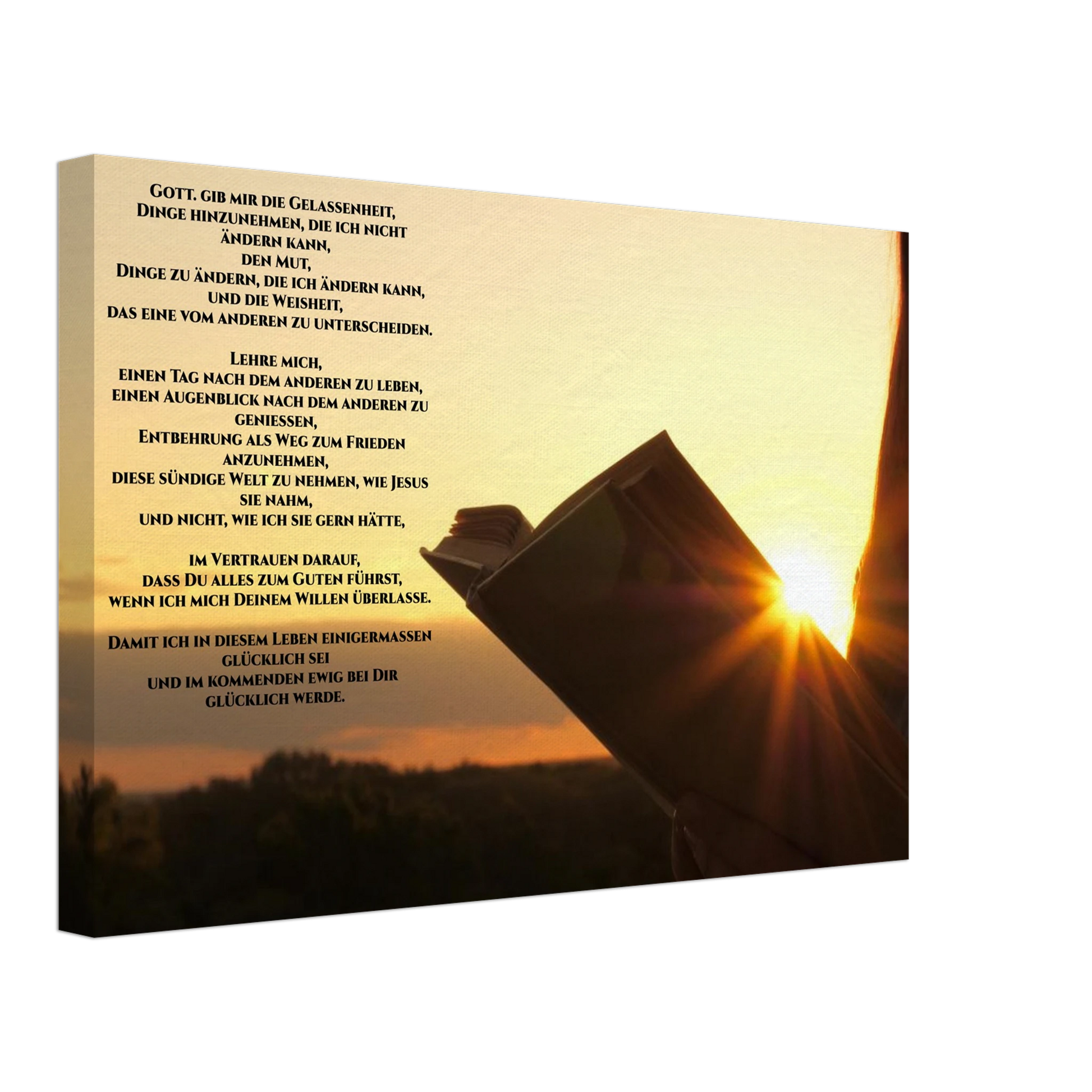 6a1d800b-d846-404d-9968-e928ed9dd542