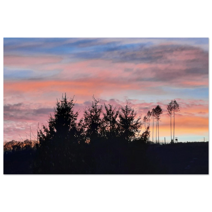 6aa70425-c39a-40df-b836-e8cb82c070fd