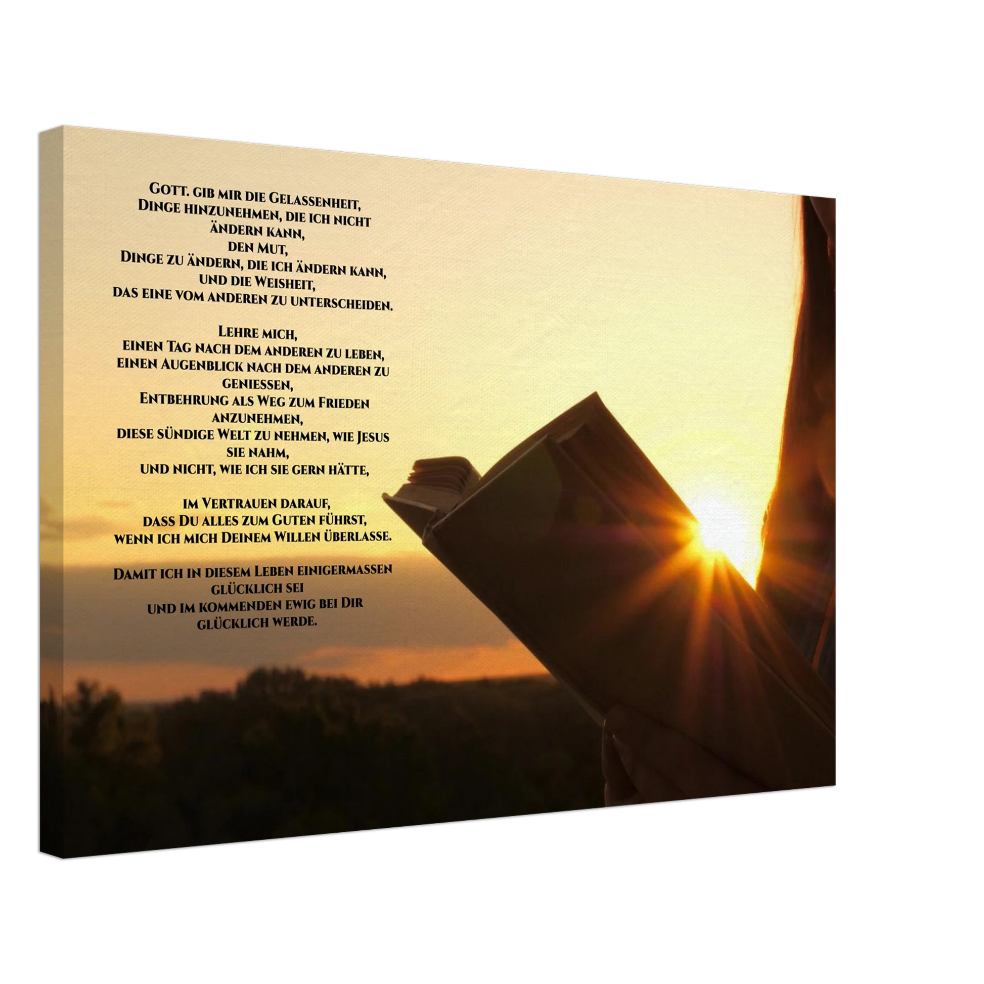 6c7fab12-391c-412d-bee5-819b00e44a81