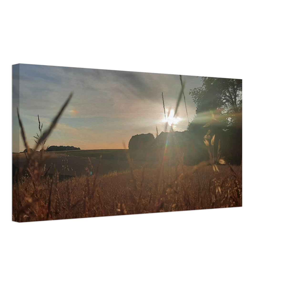 Stimmungsvolle Wandkunst für stilvolle Räume. Westerwald Landschaftsbild Leinwand - Kunstdruck Die andere Perspektive: für stilvolle Raumgestaltung. Schlicht, elegant und wirkungsvoll.