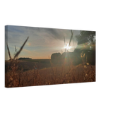 Stimmungsvolle Wandkunst für stilvolle Räume. Westerwald Landschaftsbild Leinwand - Kunstdruck Die andere Perspektive: für stilvolle Raumgestaltung. Schlicht, elegant und wirkungsvoll.