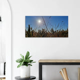 Stimmungsvolle Wandkunst für stilvolle Räume. Kunstdruck auf Leinwand - Kornfeld im Westerwald Landschaftsbild für Ihr Zuhause: für stilvolle Raumgestaltung. Schlicht, elegant und wirkungsvoll.