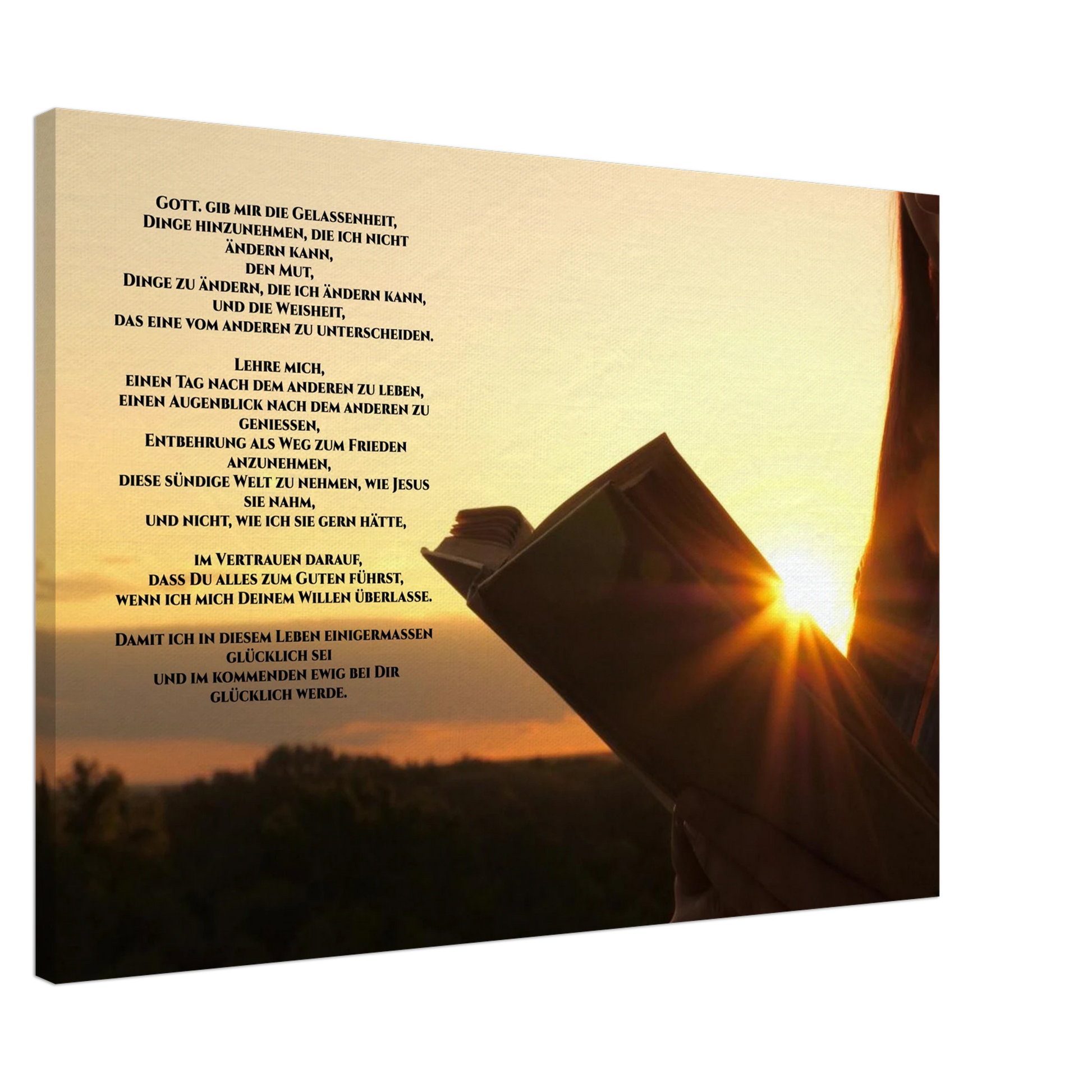 7c59ea44-8daf-407a-b65e-42c39ab643fa