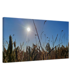 Stimmungsvolle Wandkunst für stilvolle Räume. Kunstdruck auf Leinwand - Kornfeld im Westerwald Landschaftsbild für Ihr Zuhause: zeitlos und harmonisch. Schlicht, elegant und wirkungsvoll.
