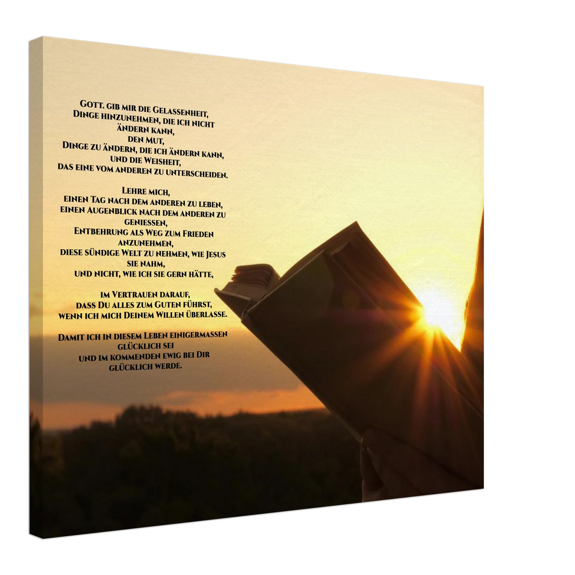 8fea8e1f-8c0c-458c-86d3-c815062305e2