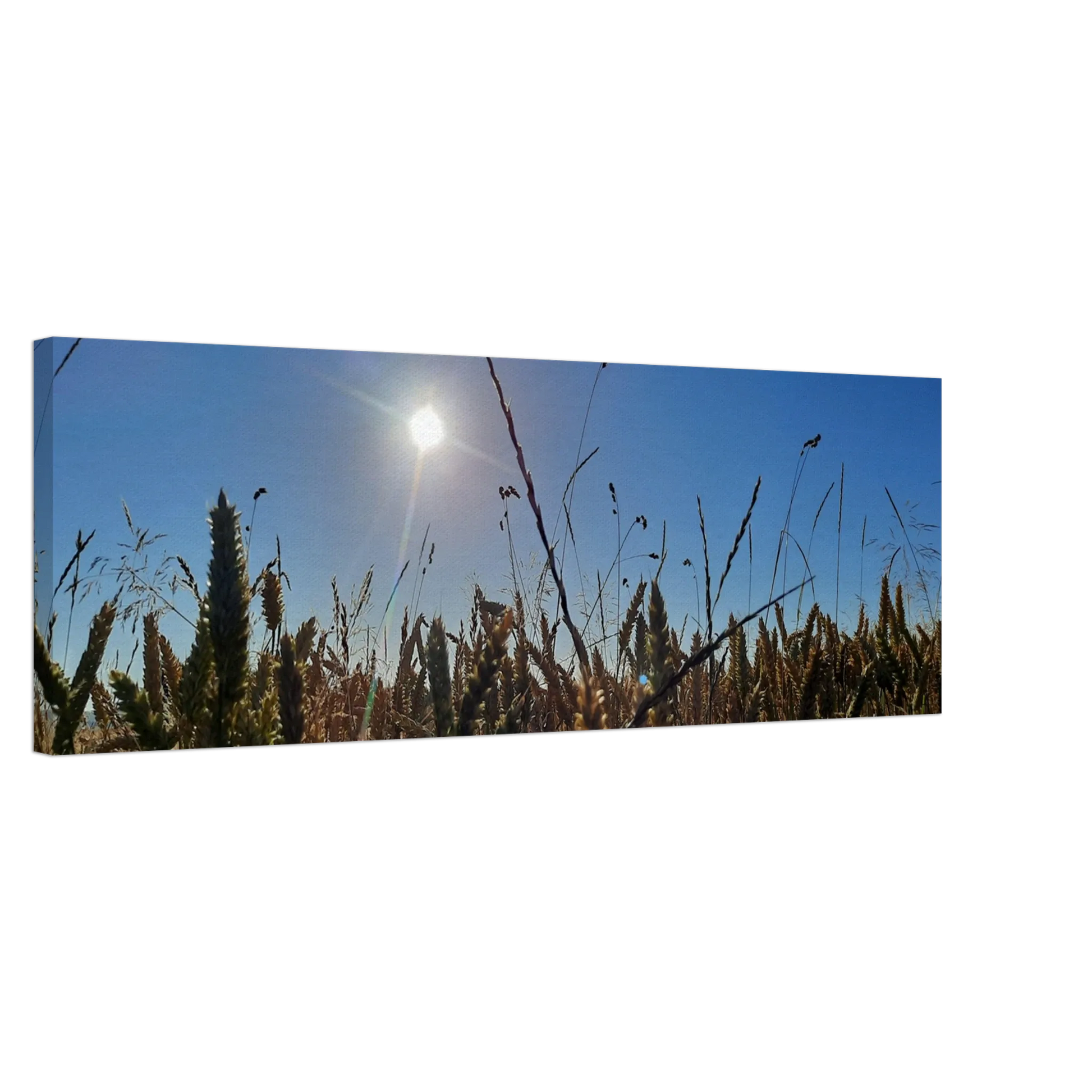 Ein Ausdruck moderner Ästhetik. Kunstdruck auf Leinwand - Kornfeld im Westerwald Landschaftsbild für Ihr Zuhause: für stilvolle Raumgestaltung. Eine besondere Bereicherung für jeden Raum.