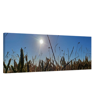 Ein Ausdruck moderner Ästhetik. Kunstdruck auf Leinwand - Kornfeld im Westerwald Landschaftsbild für Ihr Zuhause: für stilvolle Raumgestaltung. Eine besondere Bereicherung für jeden Raum.