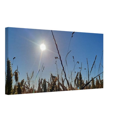 Stimmungsvolle Wandkunst für stilvolle Räume. Kunstdruck auf Leinwand - Kornfeld im Westerwald Landschaftsbild für Ihr Zuhause: zeitlos und harmonisch. Schlicht, elegant und wirkungsvoll.