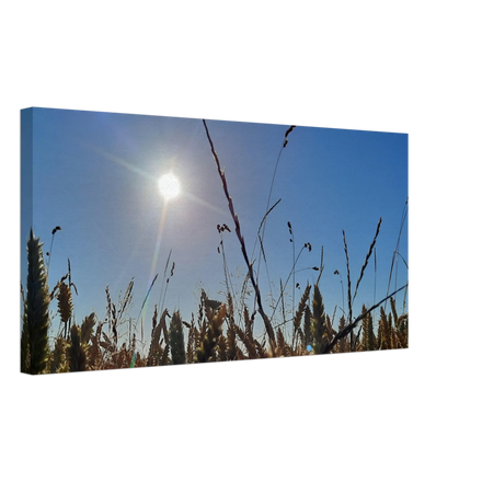 Stimmungsvolle Wandkunst für stilvolle Räume. Kunstdruck auf Leinwand - Kornfeld im Westerwald Landschaftsbild für Ihr Zuhause: für stilvolle Raumgestaltung. Eine besondere Bereicherung für jeden Raum.
