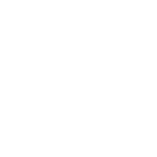 Markeninformation zu Zoey Kunstdrucke. Logo freigestellt für den Footer
