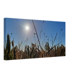 Dekoration mit Charakter. Kunstdruck auf Leinwand - Kornfeld im Westerwald Landschaftsbild für Ihr Zuhause: zeitlos und harmonisch. Schlicht, elegant und wirkungsvoll.